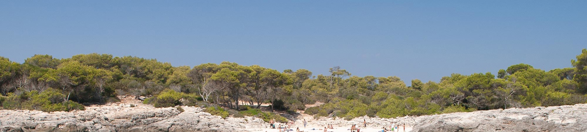 Cala N Bosch