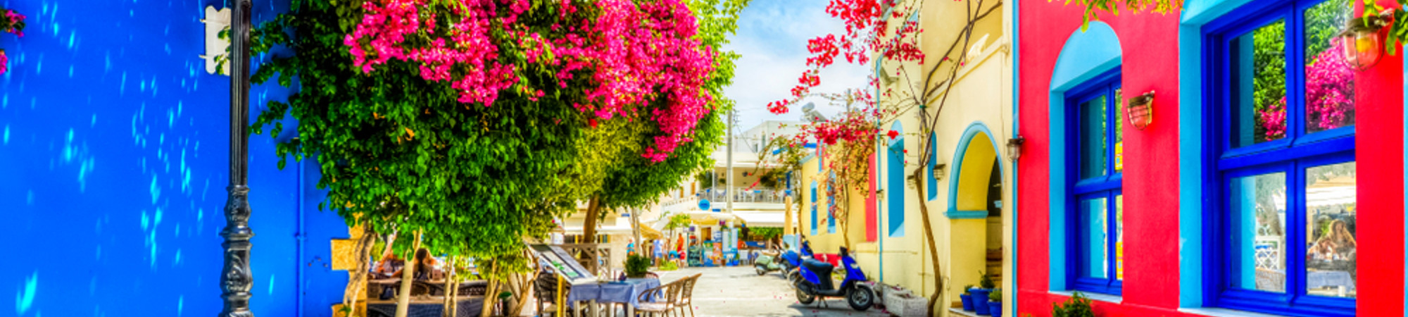 Hippocrates Plane Tree
