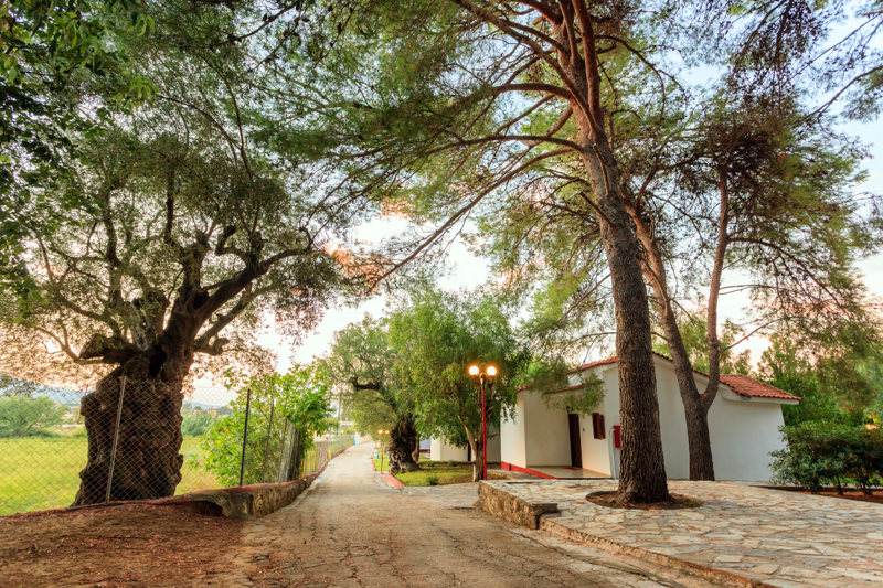 Garden at Alykes Park in Zante