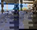 35143562 1663932656976285 4756838080327974912 N
