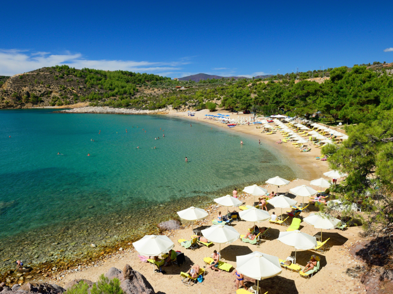 Beach at Royal Paradise Beach Resort And Spa