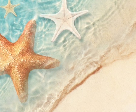 Last Minute Holidays